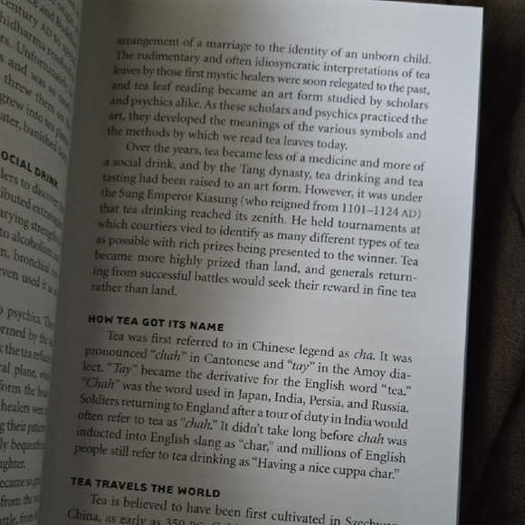 Tea Leaf Fortune Cards 200 Deck Rae Hepburn Ancient Chinese Reading Divination - Picture 16 of 16